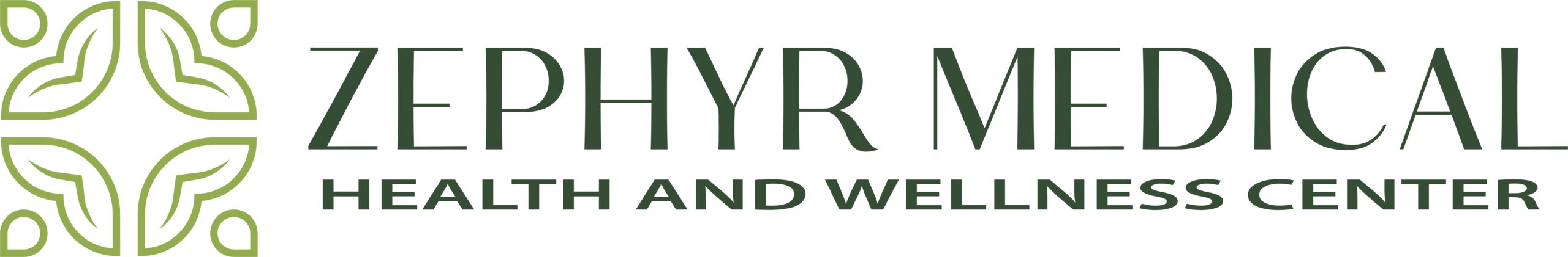 Zephyr Medical
